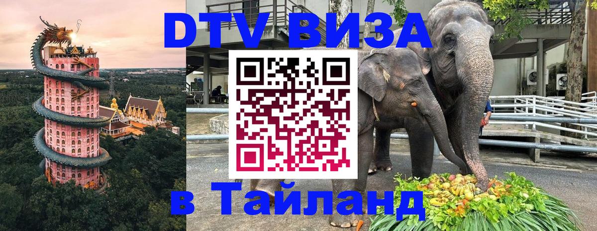 DTV Visa Thailand — прайс и условия, виза без дополнительных документов - 03.10.2025 